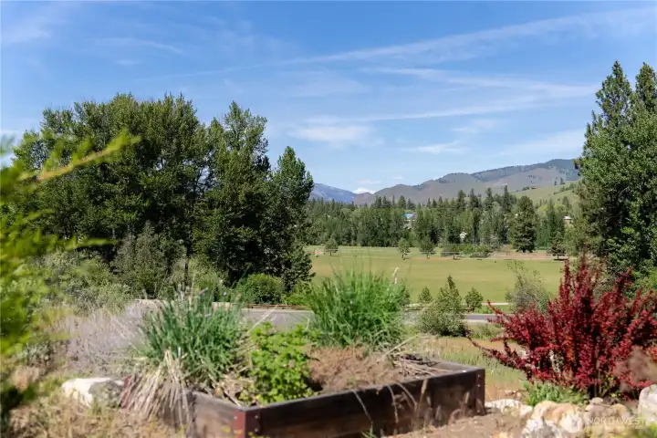 Unhurried views towards Spring Creek Ranch
