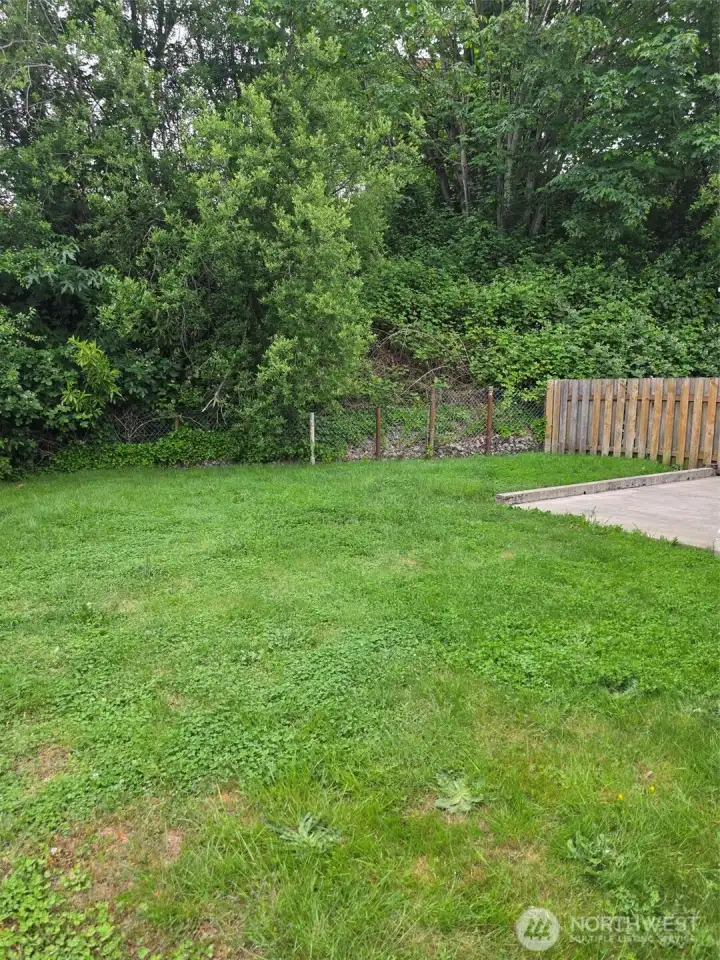 Back yard with privacy fence and bank for privacy.