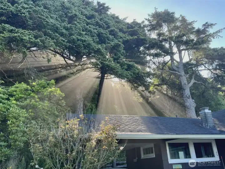 Sunbeams streaming in