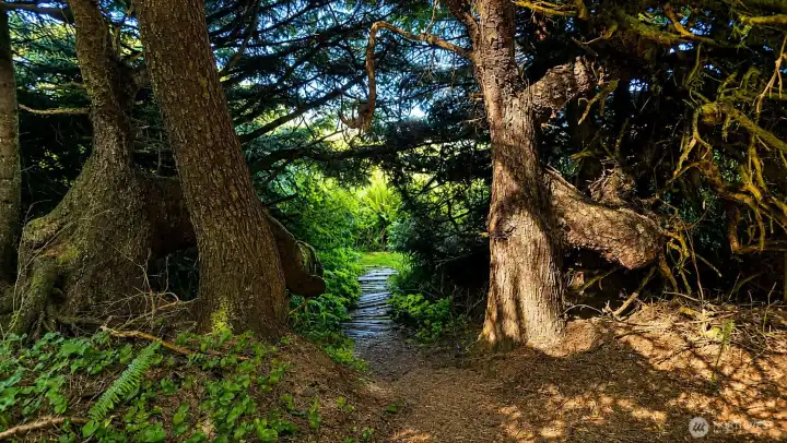 Secluded walk to the sandy beaches
