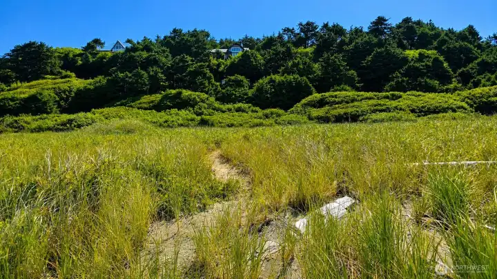 Dunes trail