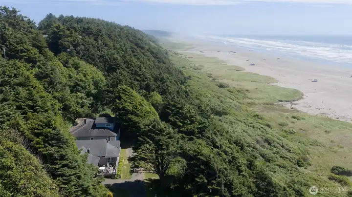 Gorgeous Evergreens surround the property