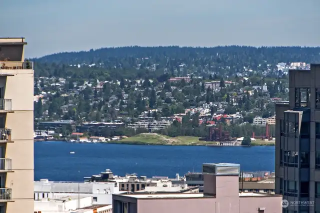 Lake Union View from Roof Top