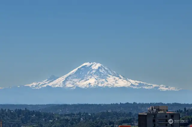 Mt. Rainier View from Roof Top