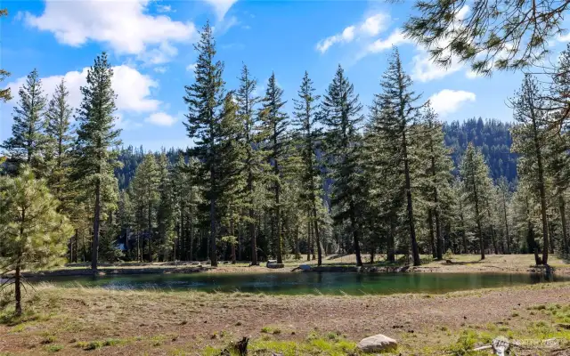 Serene setting to build your mountain home!