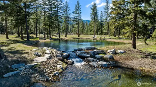 Waterfall off your back patio makes a soothing sound!