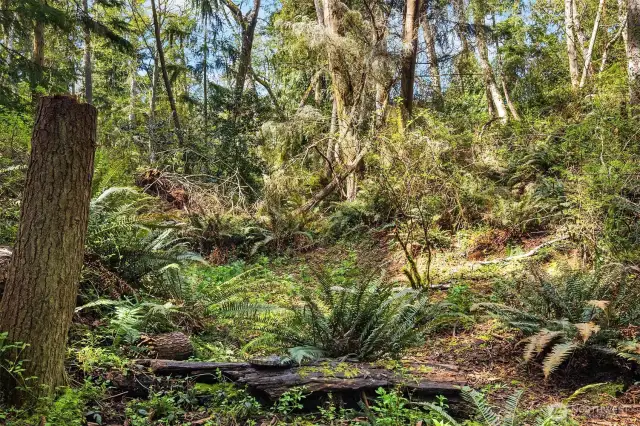 So much nature to enjoy!