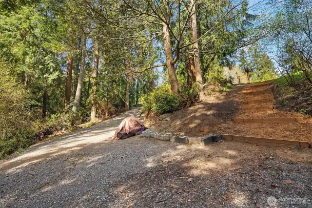 Driveway does not look this steep when you are standing on it.