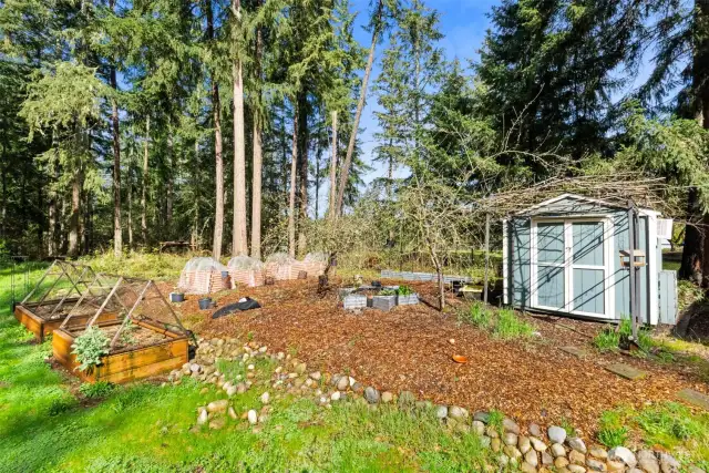 Raised beds are a gardeners delight. One of two storage sheds.