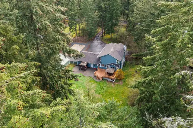 Lush Evergreens line the property for peace and privacy.