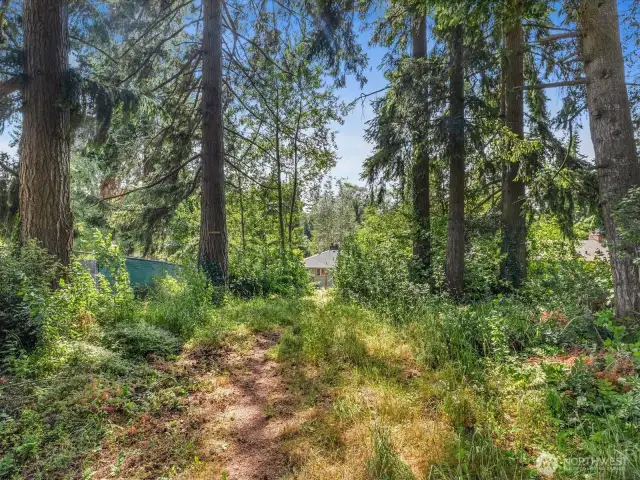 Whether you're envisioning a larger lawn, a firepit area, or raised garden beds, there’s room here to make it your own.