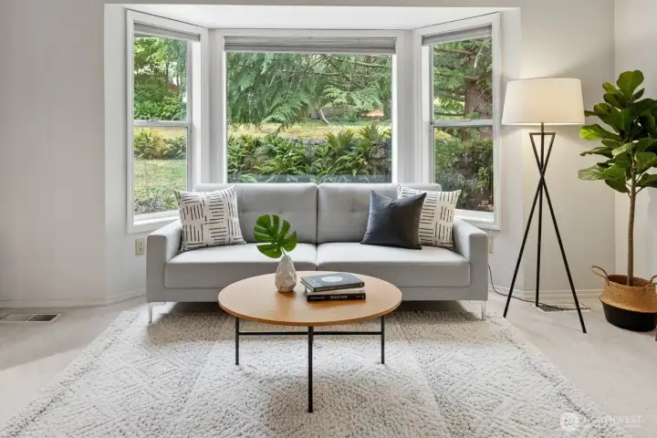 Huge picture window