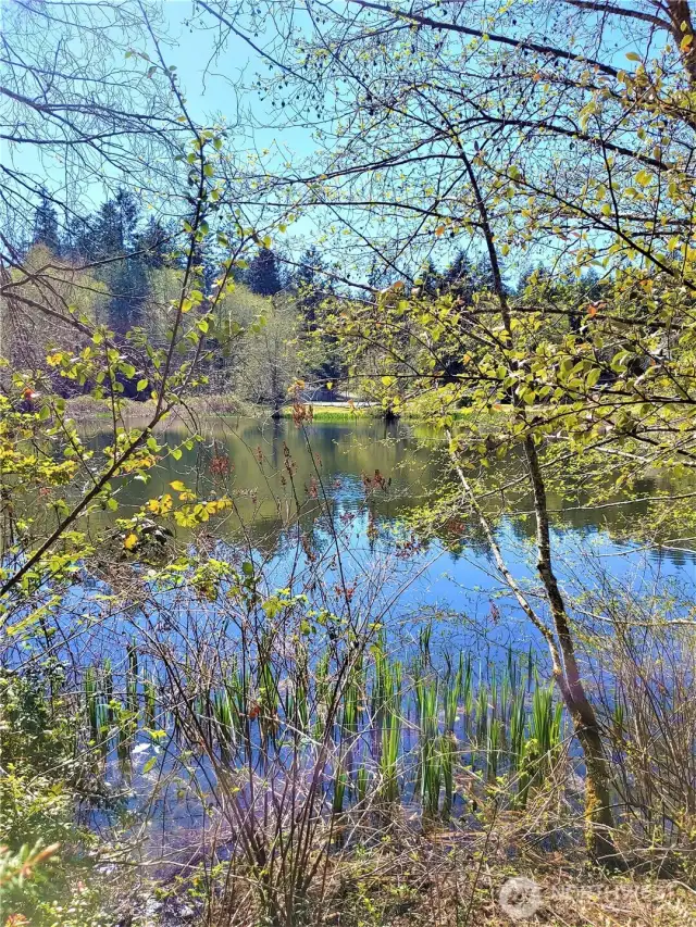 Fronts Lake Josephine
