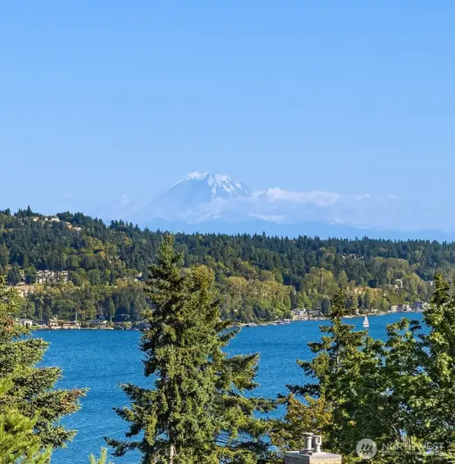 Rainier