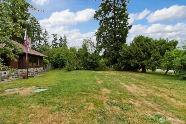 Front yard