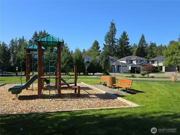 Park across the street