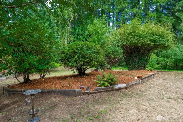 Garden space.