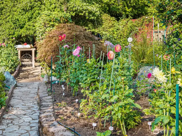 beautiful garden