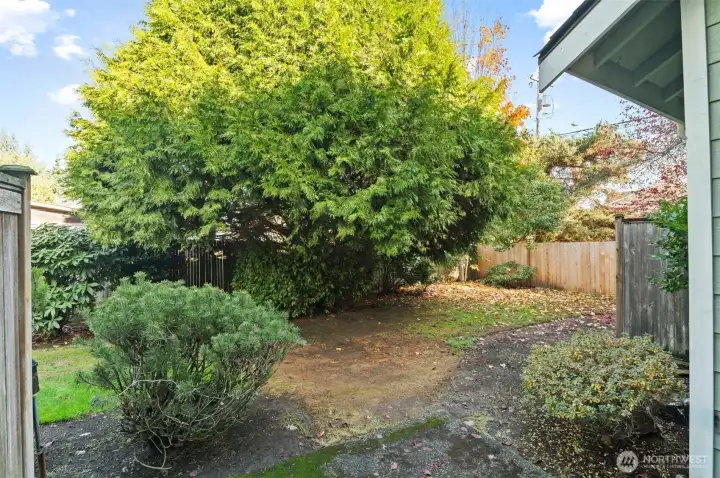 Clean and usable outdoor space with updated fencing and room for small pets or play.