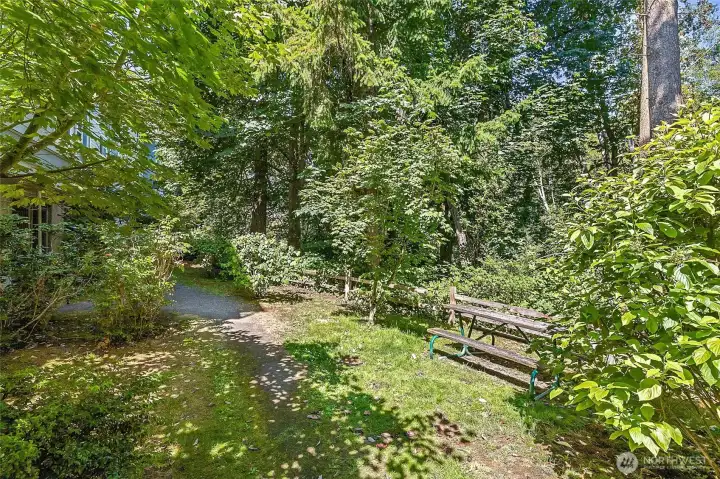 Trail system throughout the open space adjacent to the complex.