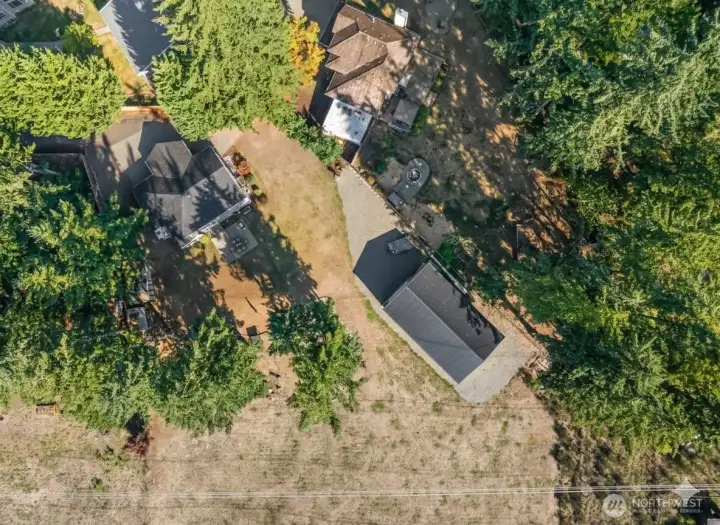 So many possibilities.