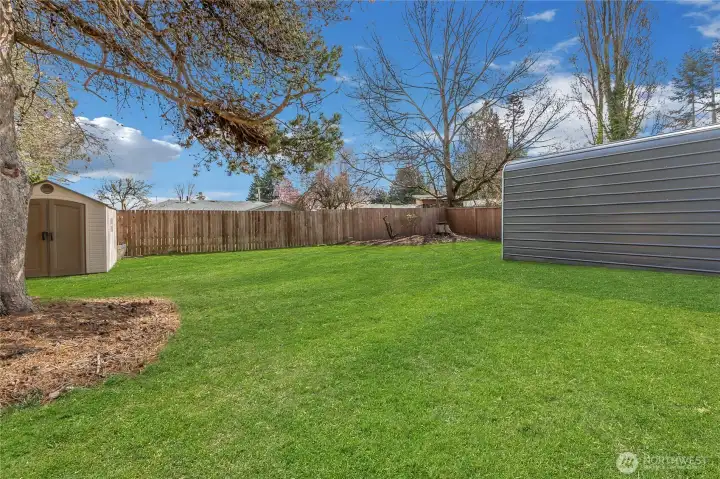 fully fenced backyard