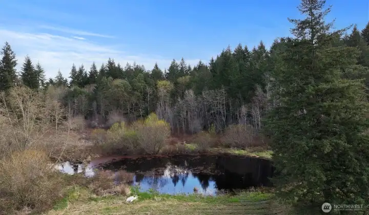 There is a duck pond on the southside of the property. How fun to utilize this as a water feature.