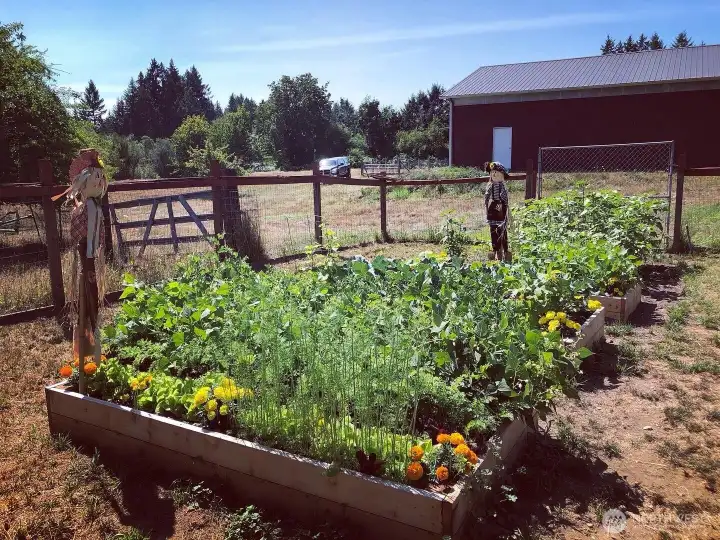 raised garden bed!