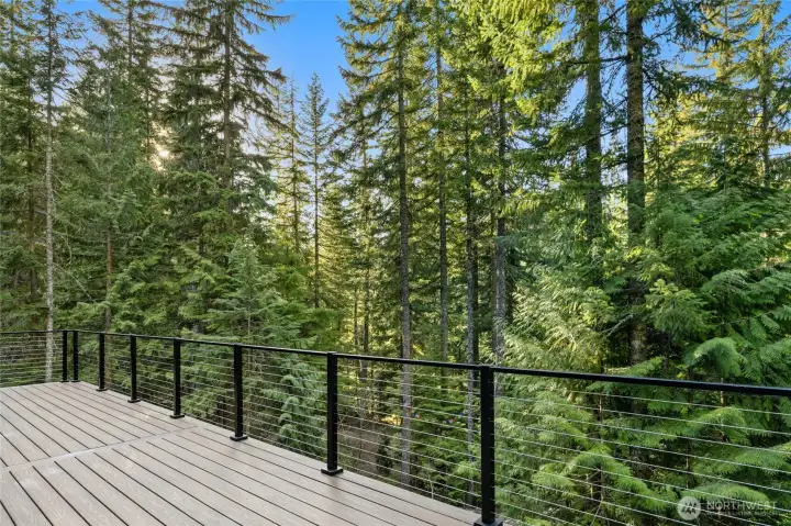 Front deck with stunning cable railing, great for entertaining and enjoying the outdoors. Here you are facing the mountain views.