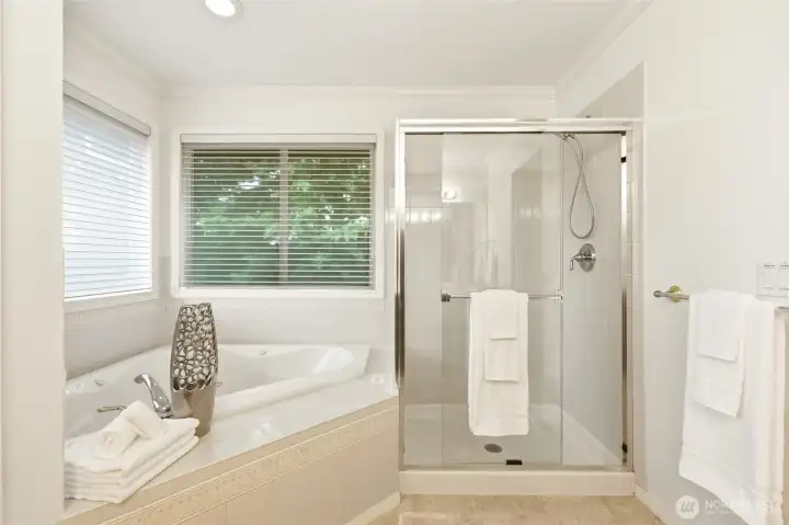 jetted tub and tile standup shower