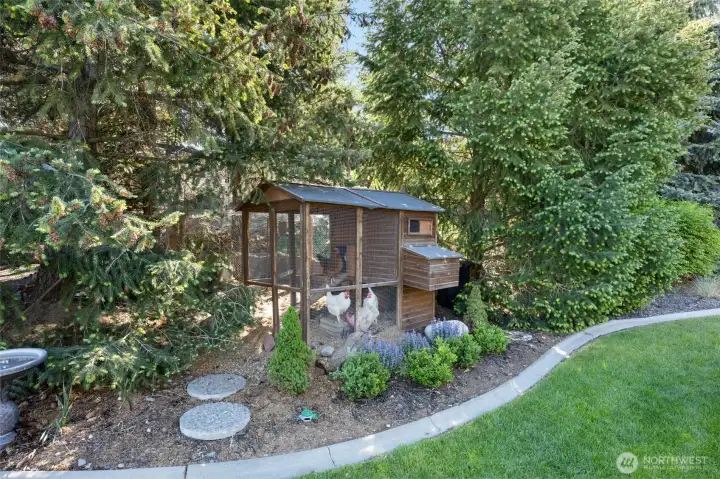 Small chicken house tucked away in the back yard for your farm fresh eggs