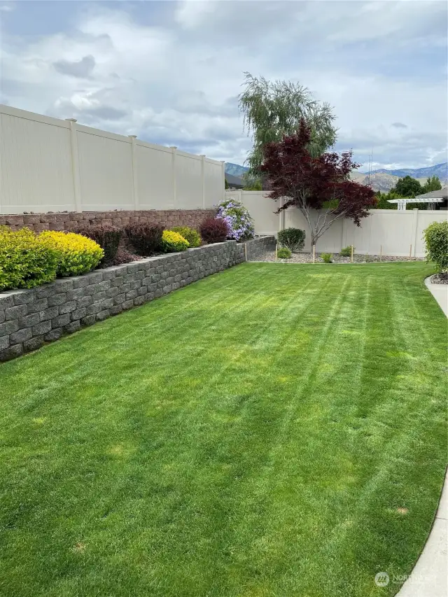 Example of yard in summer