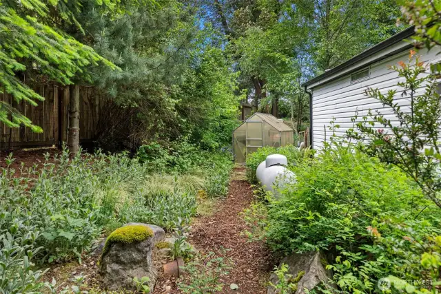 Fenced backyard with pet door on the back porch.
