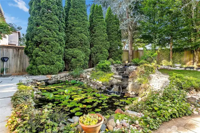 A closer view of the water feature. Its positioning in the yard maximizes both its enjoyment and efficient management of the back yard's overall space.