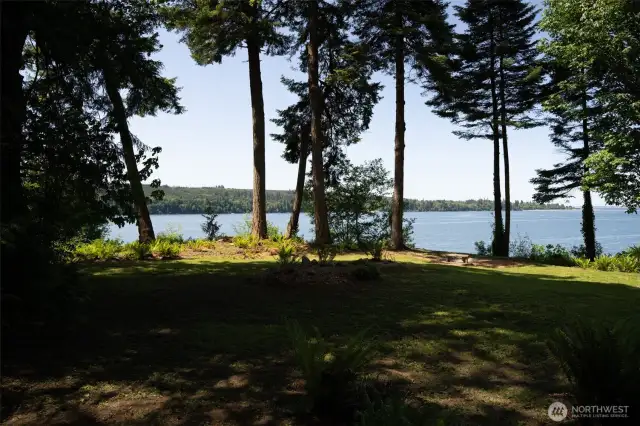 Bluff view