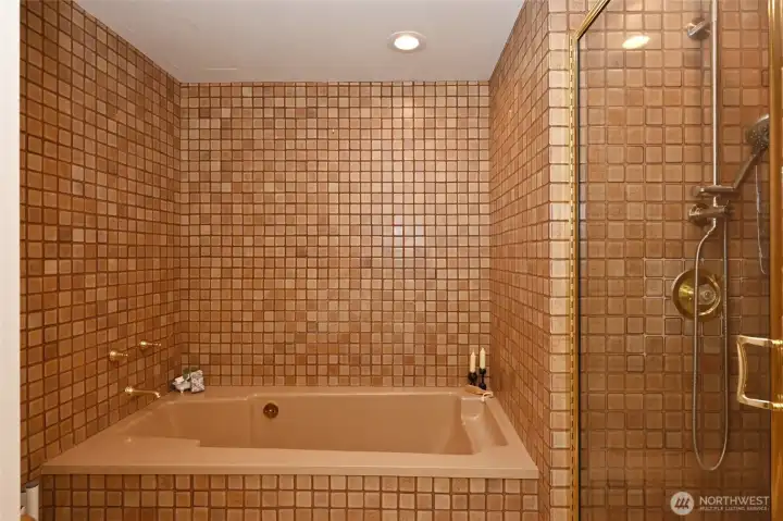 Original Spanish tile