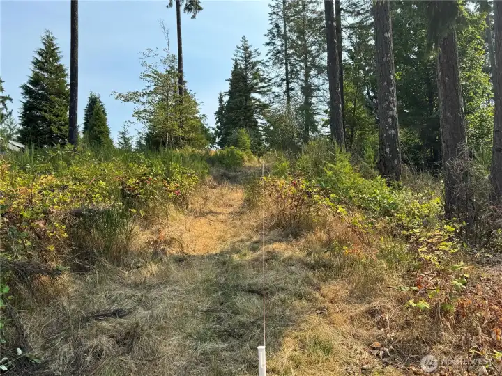 Looking up easement 12" wide 90" long.