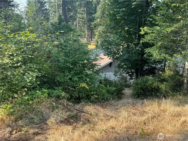 Top of lot looking at the west side of the property.