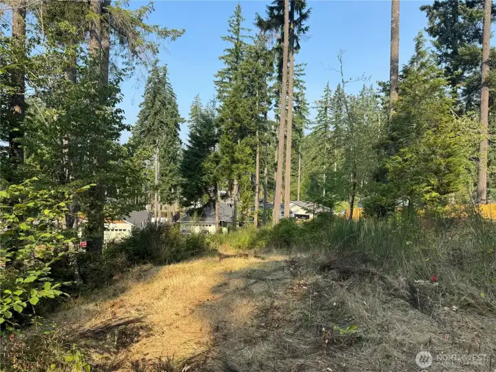 Middle of top of property. There is approx 20' of flat surface at the top of the lot.