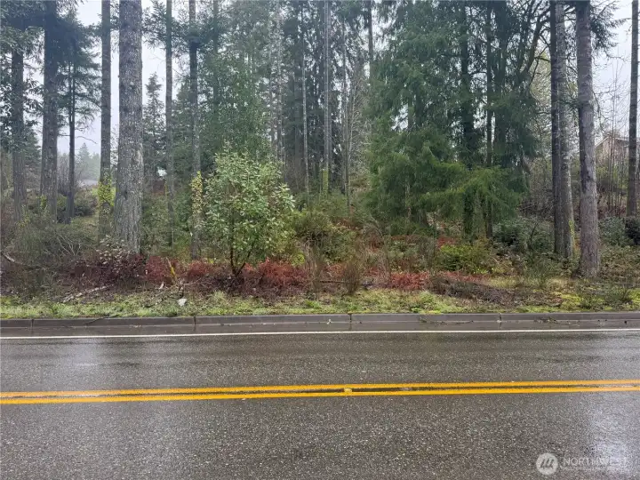 Looking at property from across Northcliff Rd