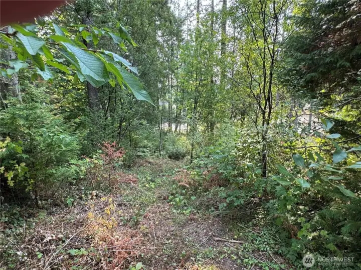 Top east side of property