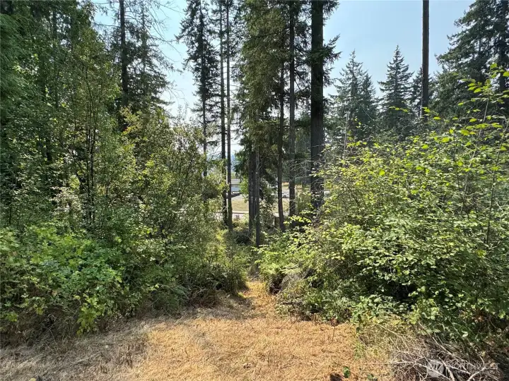 View looking from the top of the lot down to Northcliff Rd.