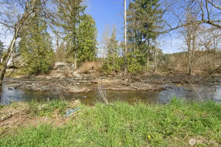 View of creek