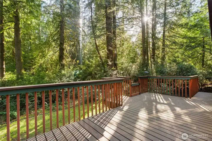New large deck with screening for small animals, and stairs (to right) to dog run.