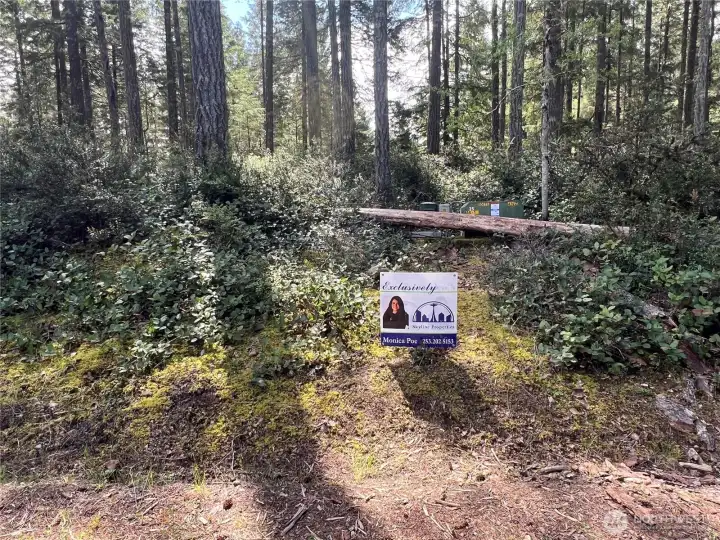 Front of lot - Peaceful and Serene