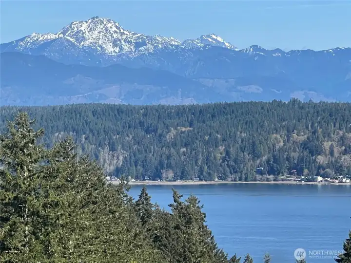 View from Clubhouse