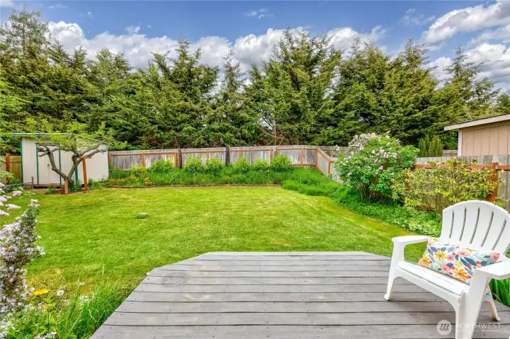 Fully fenced back yard.  perfect for gardening or play.