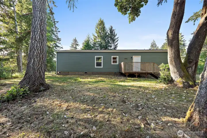 Back of House. Plenty of Space to Play.