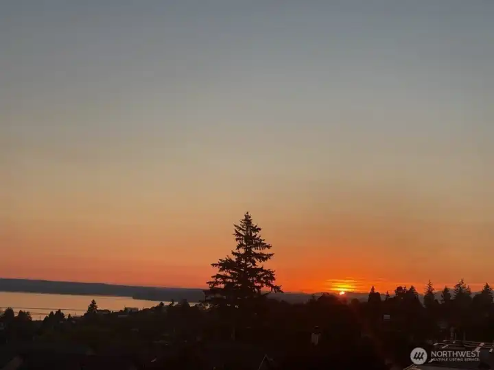 Puget Sound and Olympics in one view