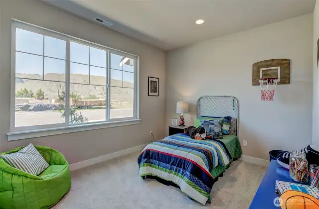 2nd lower bedroom